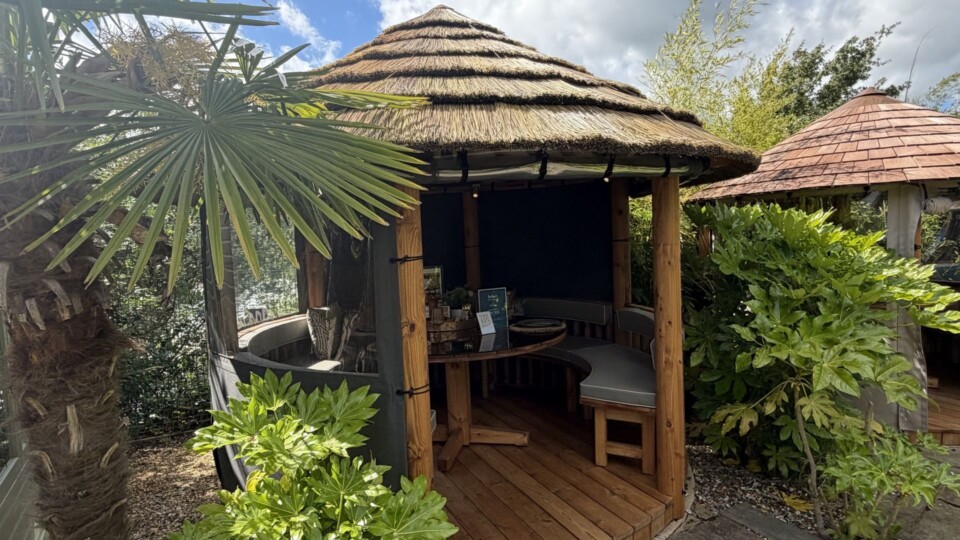 Safari Ex-Display available at Buckingham (Buckinghamshire)