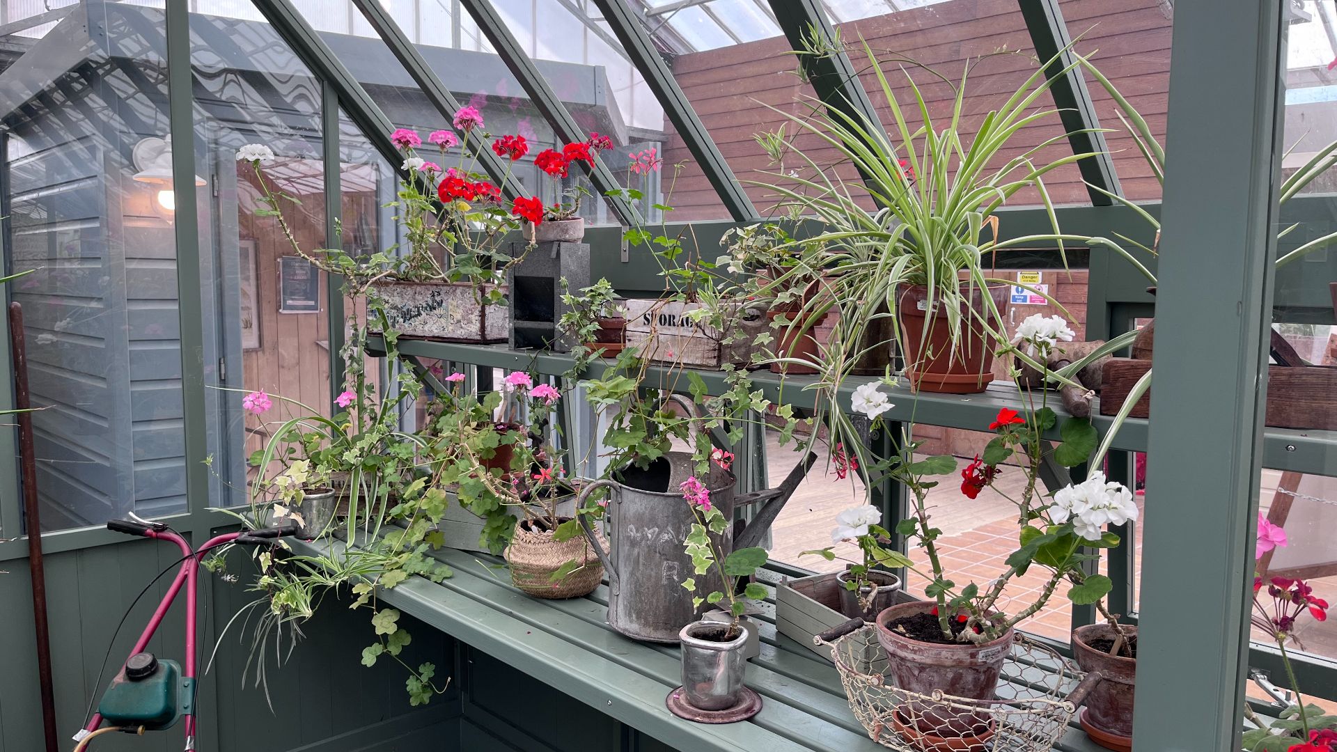 Cedar Victorian Greenhouse Ex-Display available at Newhaven (Sussex)