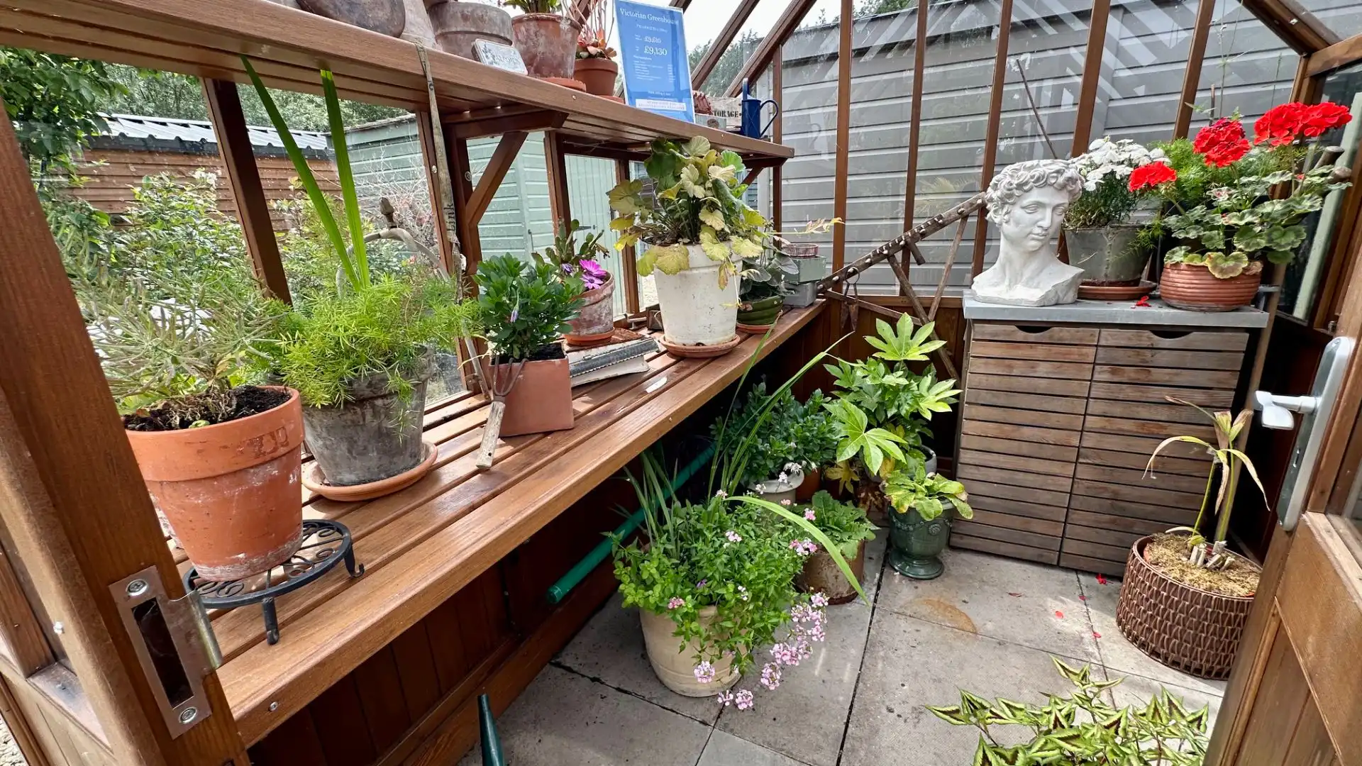 Cedar Victorian Greenhouse Ex-Display available at Abingdon (Oxfordshire)