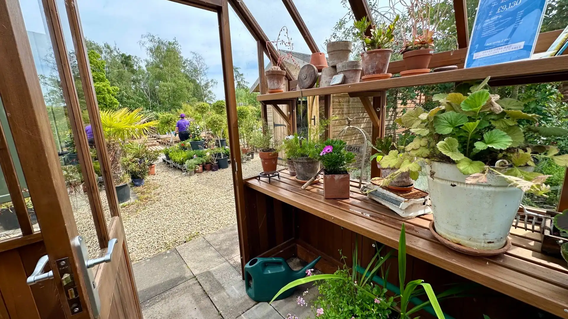 Cedar Victorian Greenhouse Ex-Display available at Abingdon (Oxfordshire)